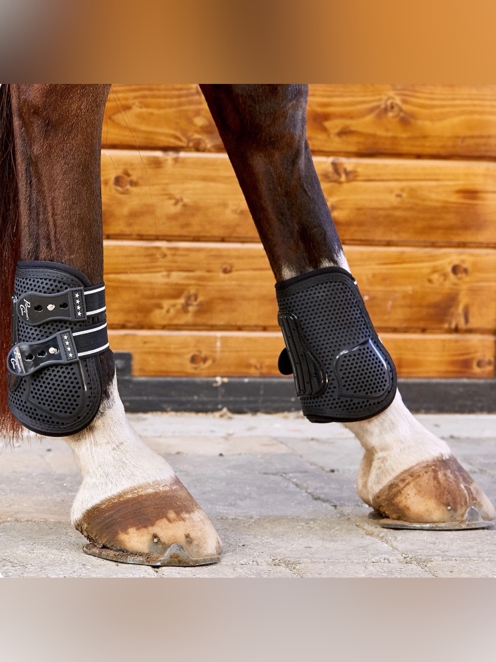 Professional Choice Pro Performance Mesh Hind Boots - Full Size